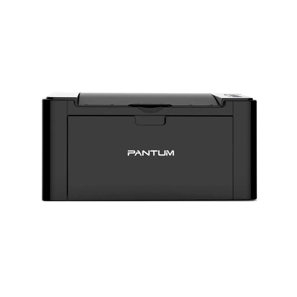 Printer Pantum P2507