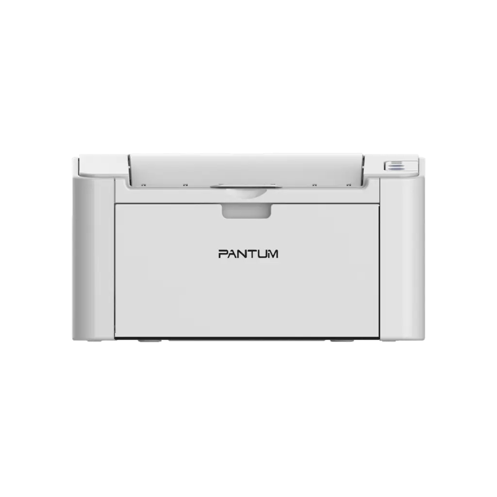 Pantum P2200 Printer