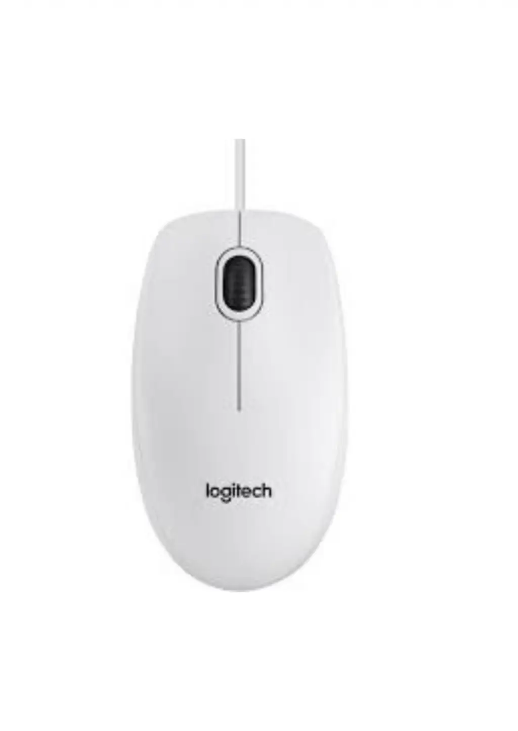 Logitech B100